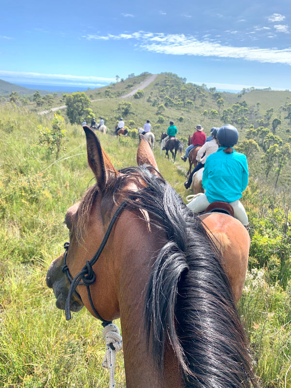 Horse riding looking toward Stanley, Tasmania. Landscape scenery overlooking the Bass Strait