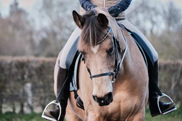 Balancing exercises for horse and rider