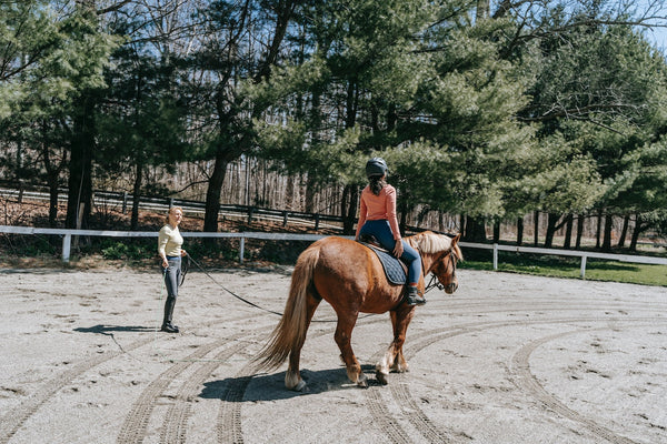 Riding School vs. Pony Club