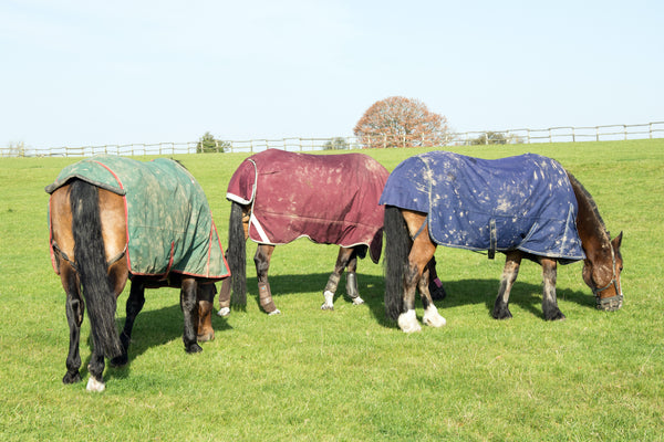 Tips for rugging your horse