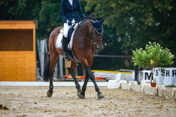 Top 10 Tips for Dressage Competitions
