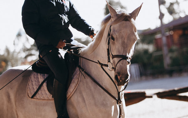 Pulling on the inside rein