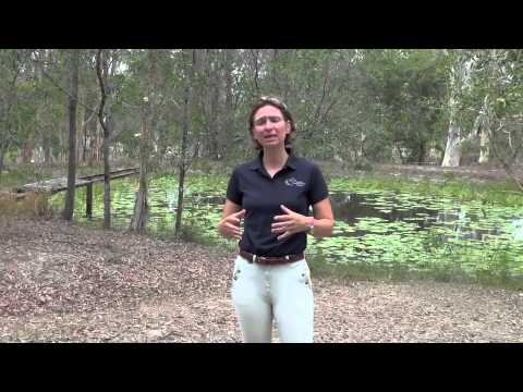 Tanja Mitton Mindset Journal